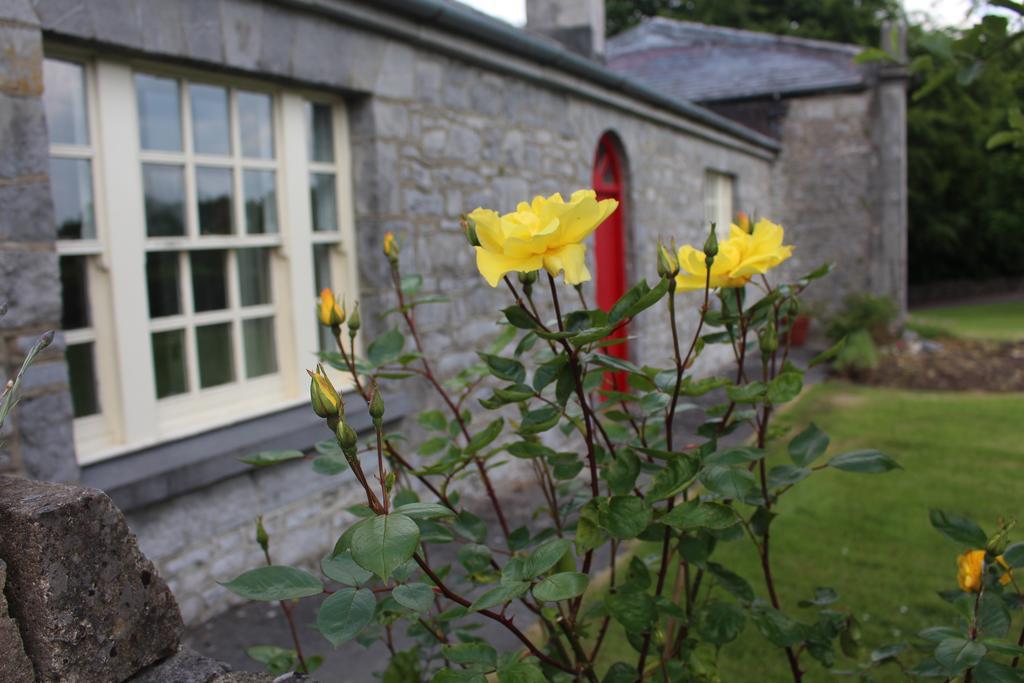 Forest Park House B&B Boyle Exterior foto